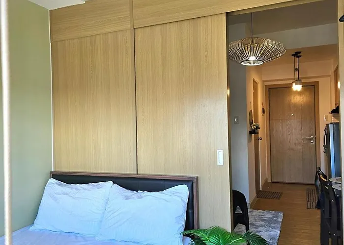 Cozy Fully Furnished 1br Near Bgc & Airport Apartment